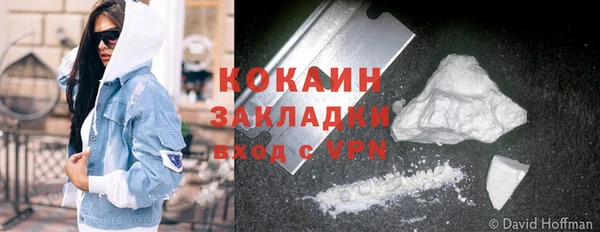твердый Снежногорск