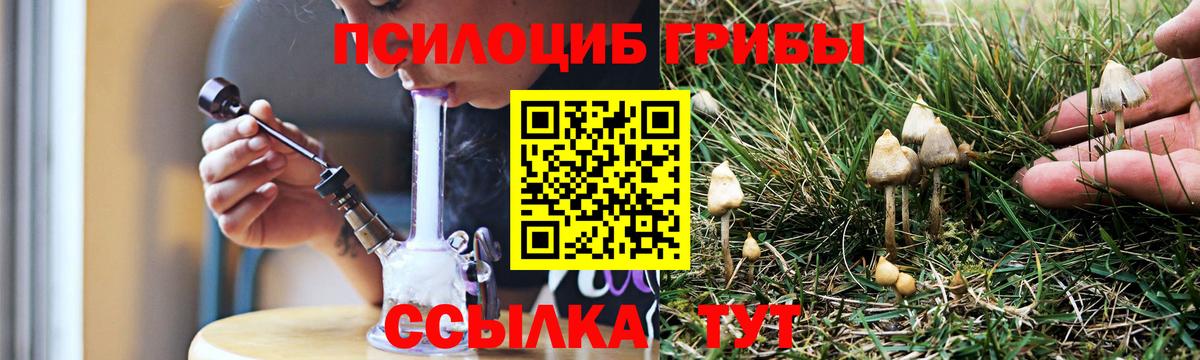 Псилоцибиновые грибы Cubensis Михайловка