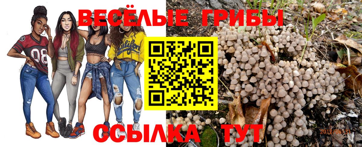 Михайловка  Галлюциногенные грибы GOLDEN TEACHER  Галлюциногенные грибы Magic Shrooms  Вход с VPN 