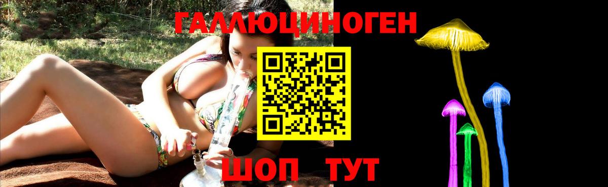 Псилоцибиновые грибы GOLDEN TEACHER Михайловка