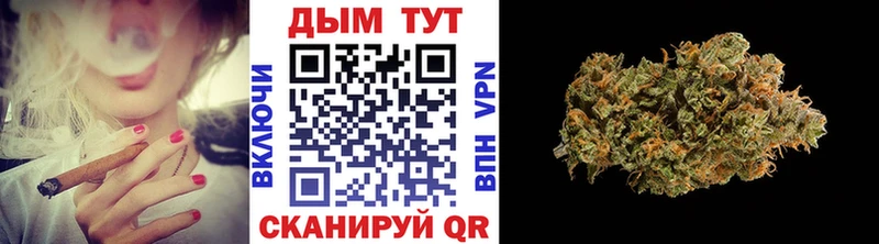 Канабис сатива  хочу наркоту  Михайловка 